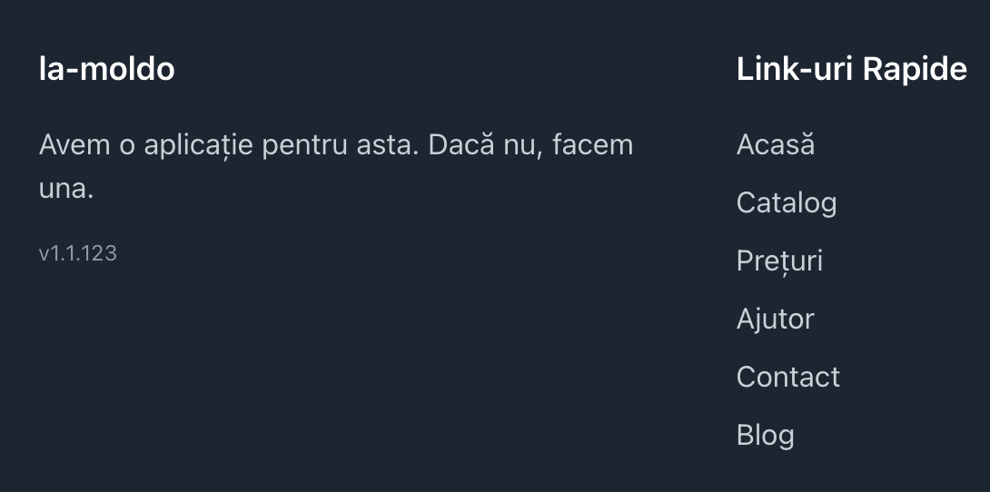 Versiune aplicație în footer